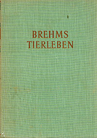 Brehms Tierleben Том 1 Антикварное издание Сохранность: Хорошая Издательство: Urania-Verlag, 1956 г Твердый переплет, 464 стр инфо 7289k.